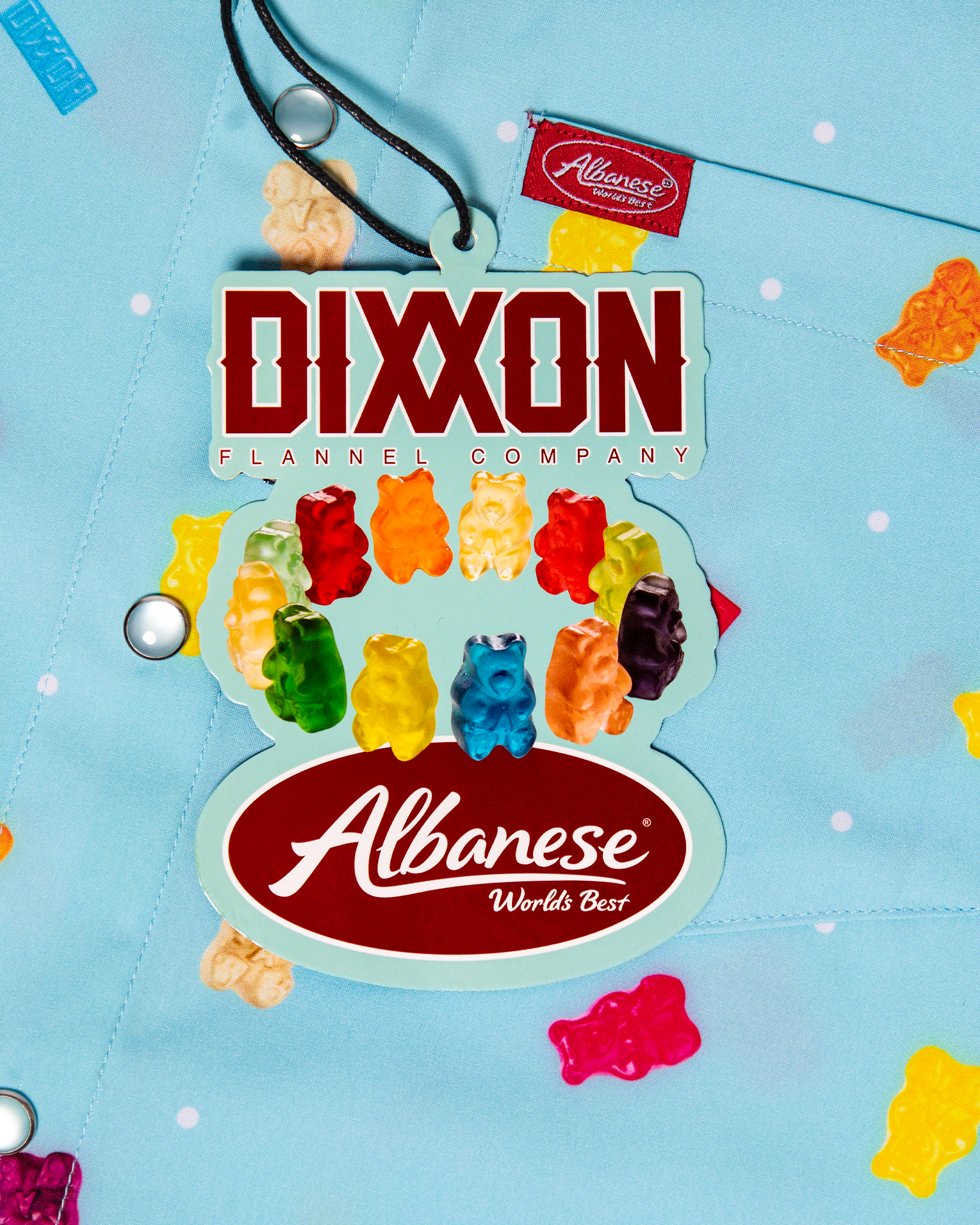 Women's Albanese Party Shirt - view 10