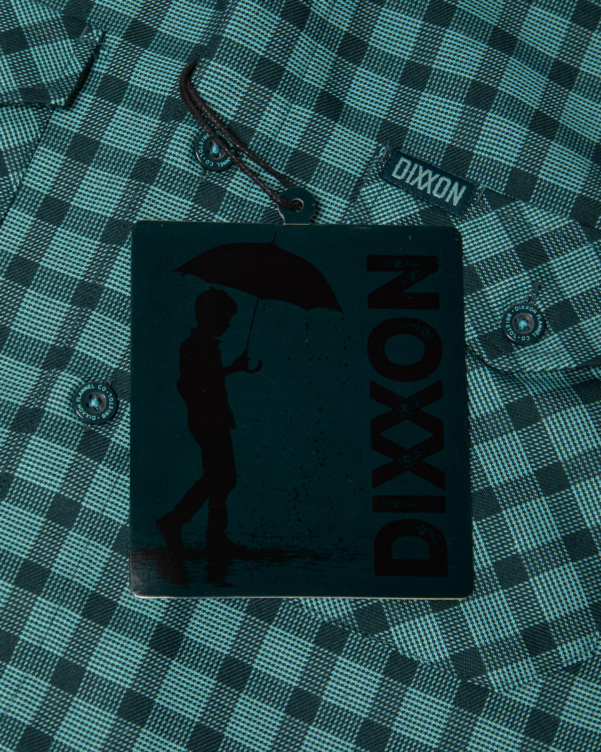 The Bristol Flannel view 10