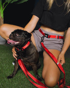 Dixxon Dog Collar - Red - Dixxon Flannel Co.