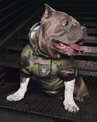 Dog Hoodie - Camo - Dixxon Flannel Co.