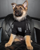 Fur Family Dog Hoodie - Black & Gray - Dixxon Flannel Co.