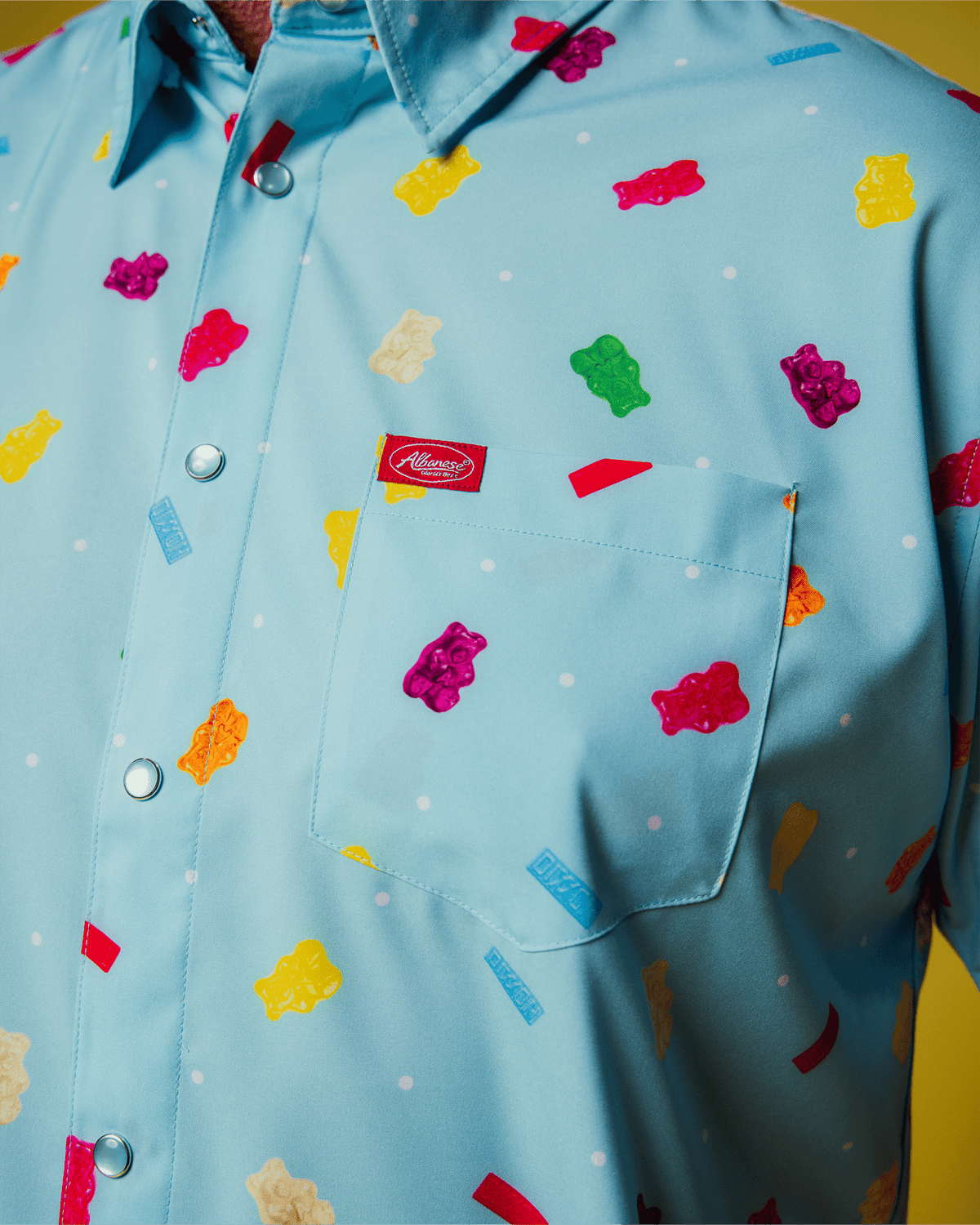 Albanese Party Shirt - Dixxon Flannel Co. view 5