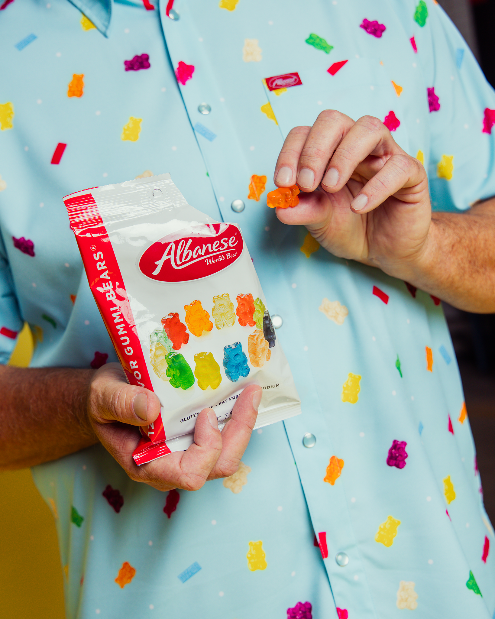 Albanese Party Shirt - Dixxon Flannel Co. view 7