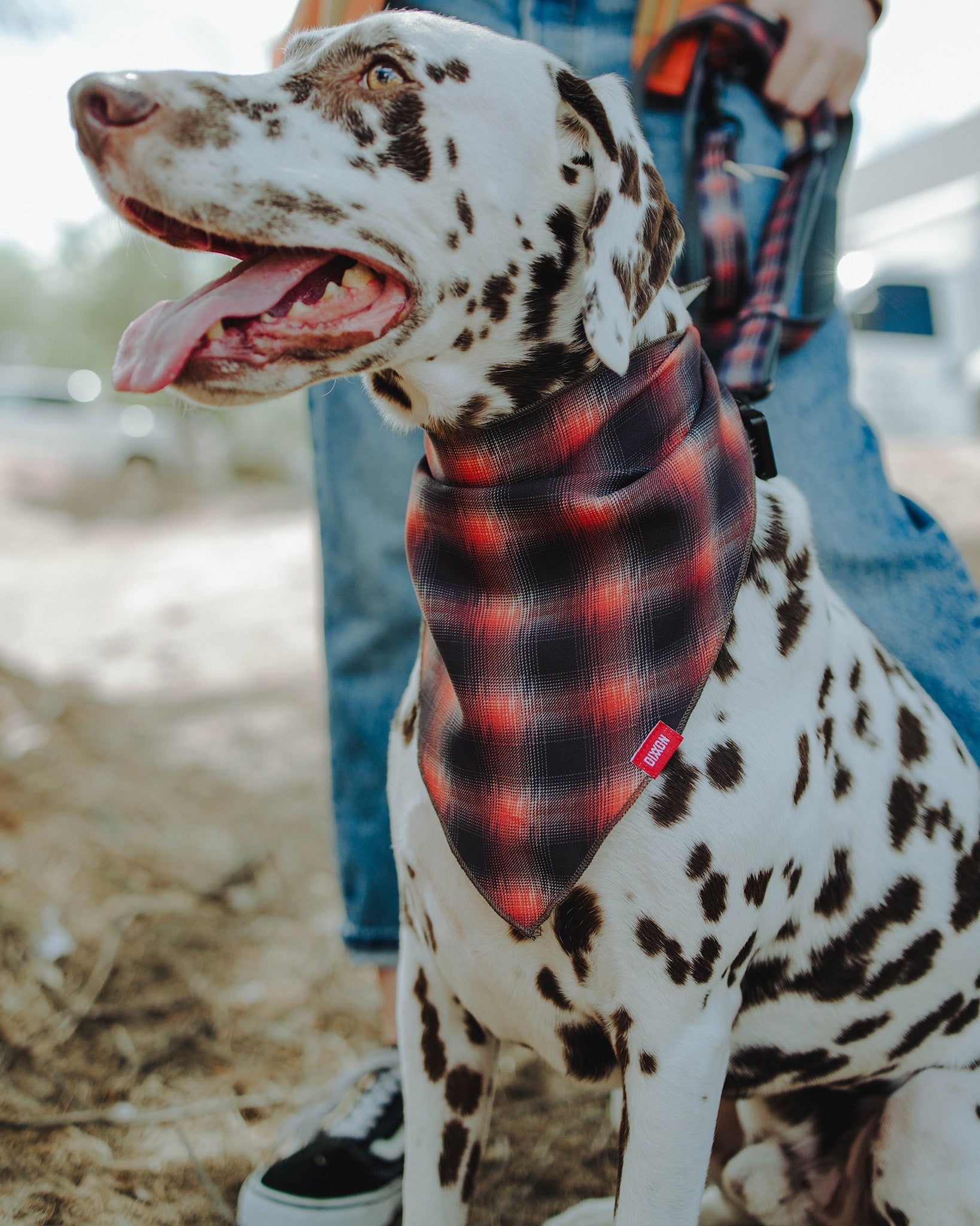 Dog Bandana - Ash - Dixxon Flannel Co.