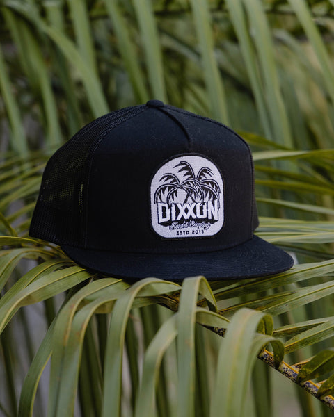 dueling-palms-flat-bill-