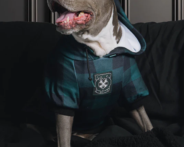 Mesh Dog Harness - Floro Orange - Dixxon Flannel Co.