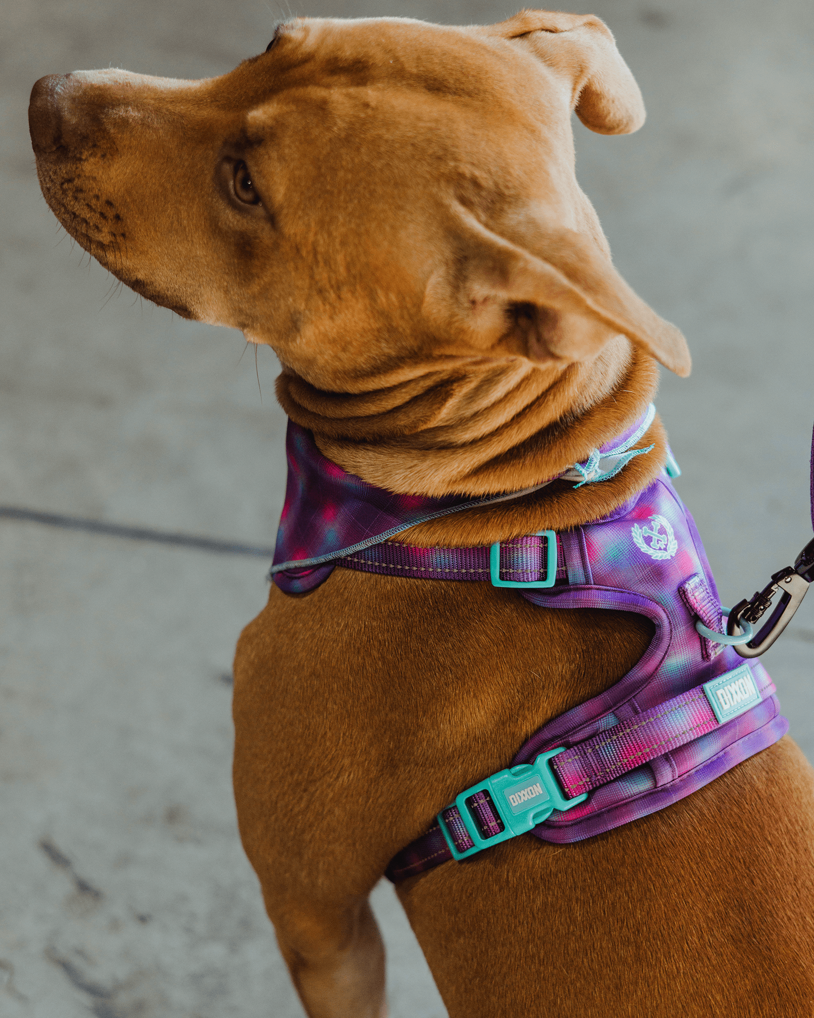 Furhaven Hundegeschirr – Atmungsaktiv, Gepolstert & Verstellbar, In Rot, Größe Extra Large