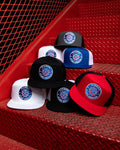 Stay Proud Flat Bill Trucker Snapback