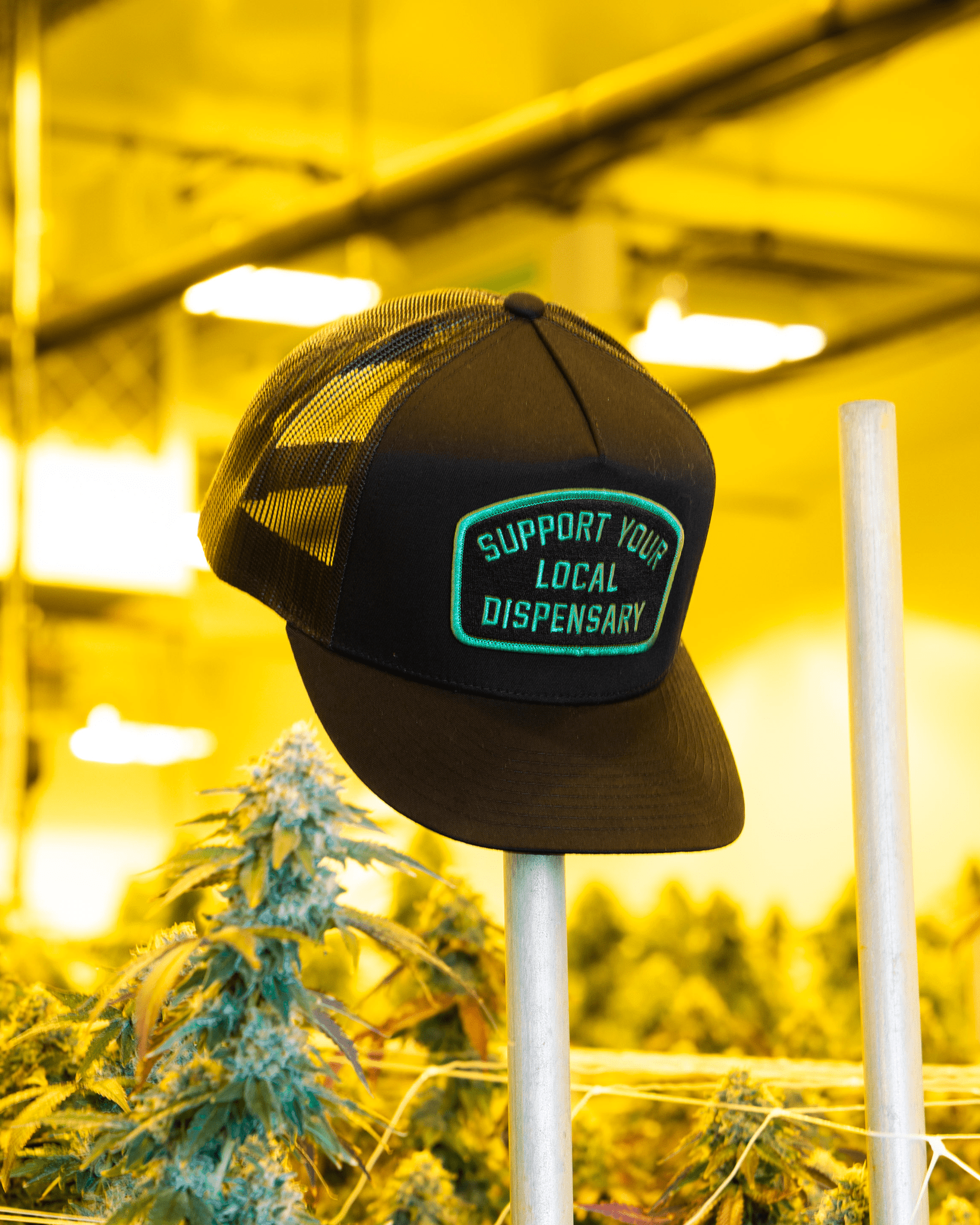 Support Your Local Dispensary Flat Bill Trucker Snapback - Dixxon Flannel Co.