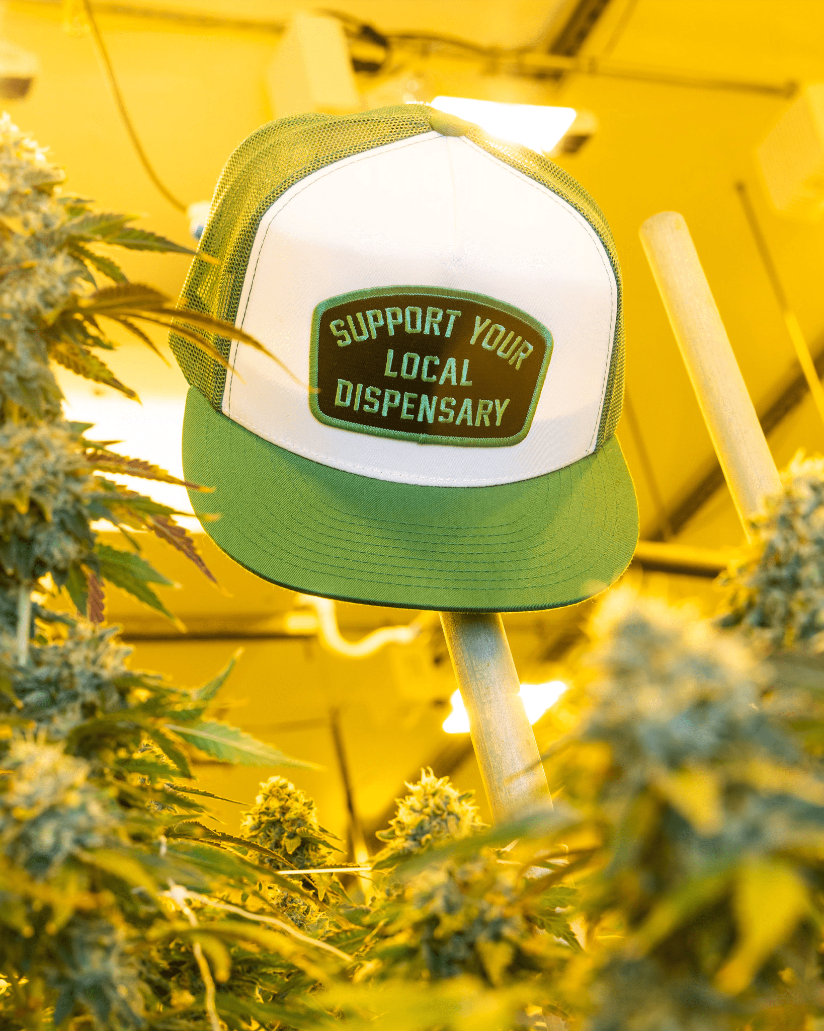 Support Your Local Dispensary Flat Bill Trucker Snapback - Dixxon Flannel Co.