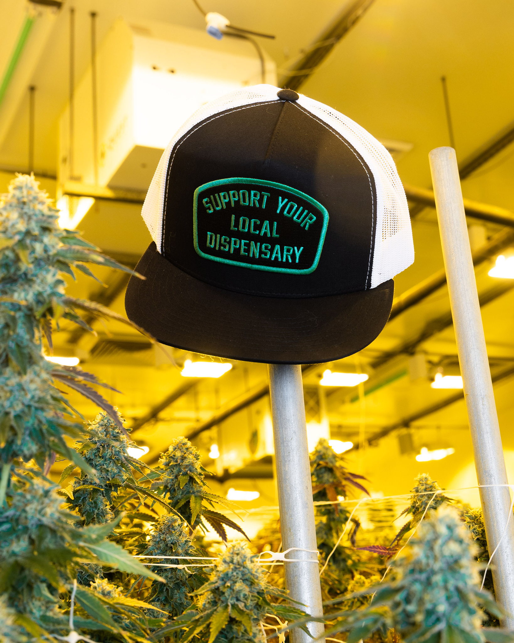 Support Your Local Dispensary Flat Bill Trucker Snapback - Dixxon Flannel Co.