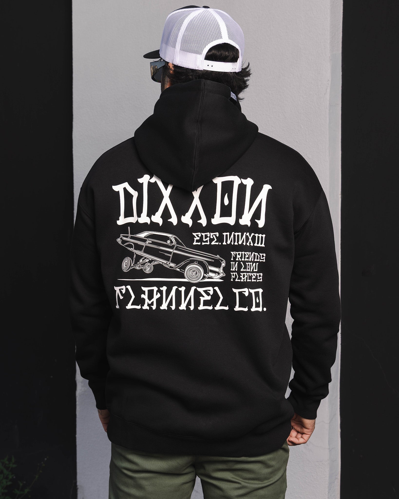 White Stink Bug Pullover Hoodie - Black | Dixxon Flannel Co.