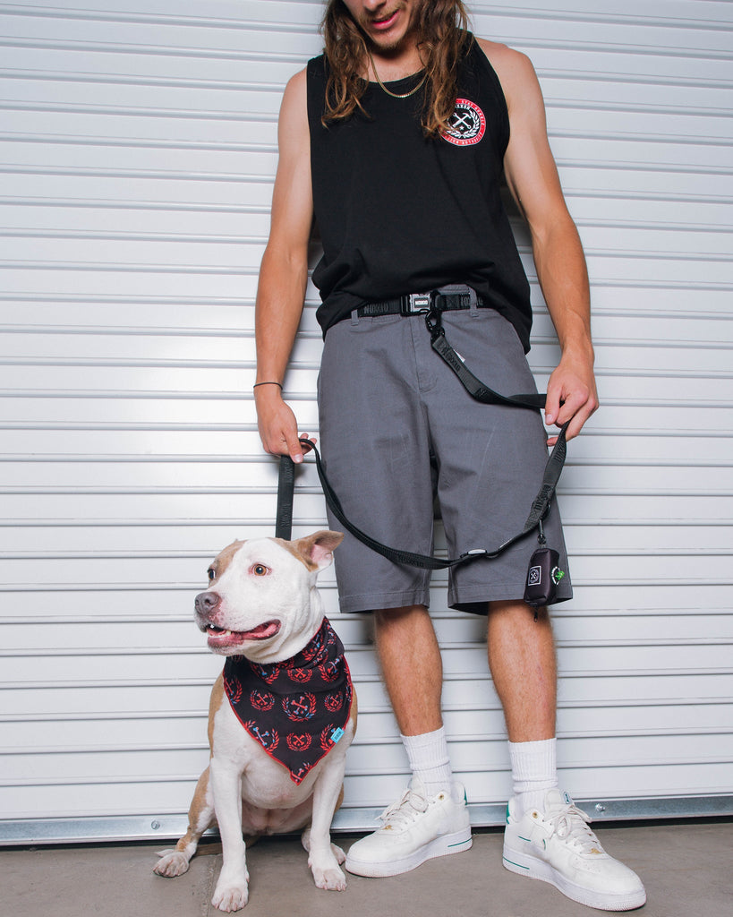 Dixxon Dog Bandana - Black - Dixxon Flannel Co.