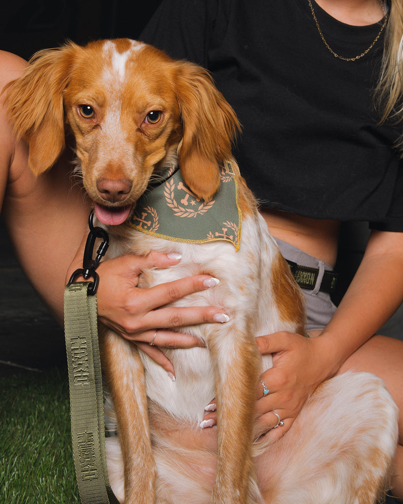 Dixxon Dog Bandana - O.D. Green - Dixxon Flannel Co.