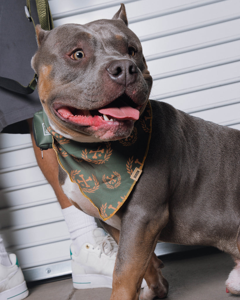 Dixxon Dog Bandana - O.D. Green - Dixxon Flannel Co.