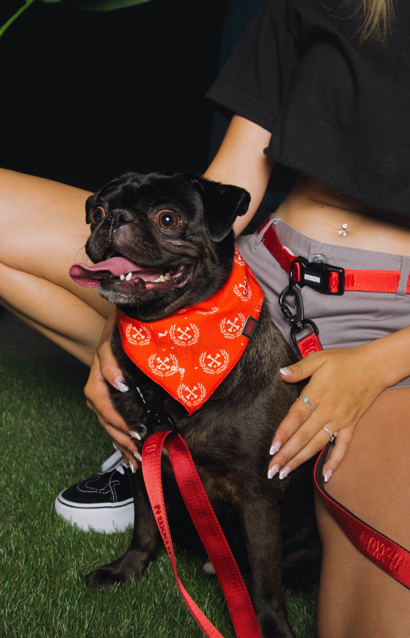 Pug Pet Bandana - Red Pug Pet Bandana - Red