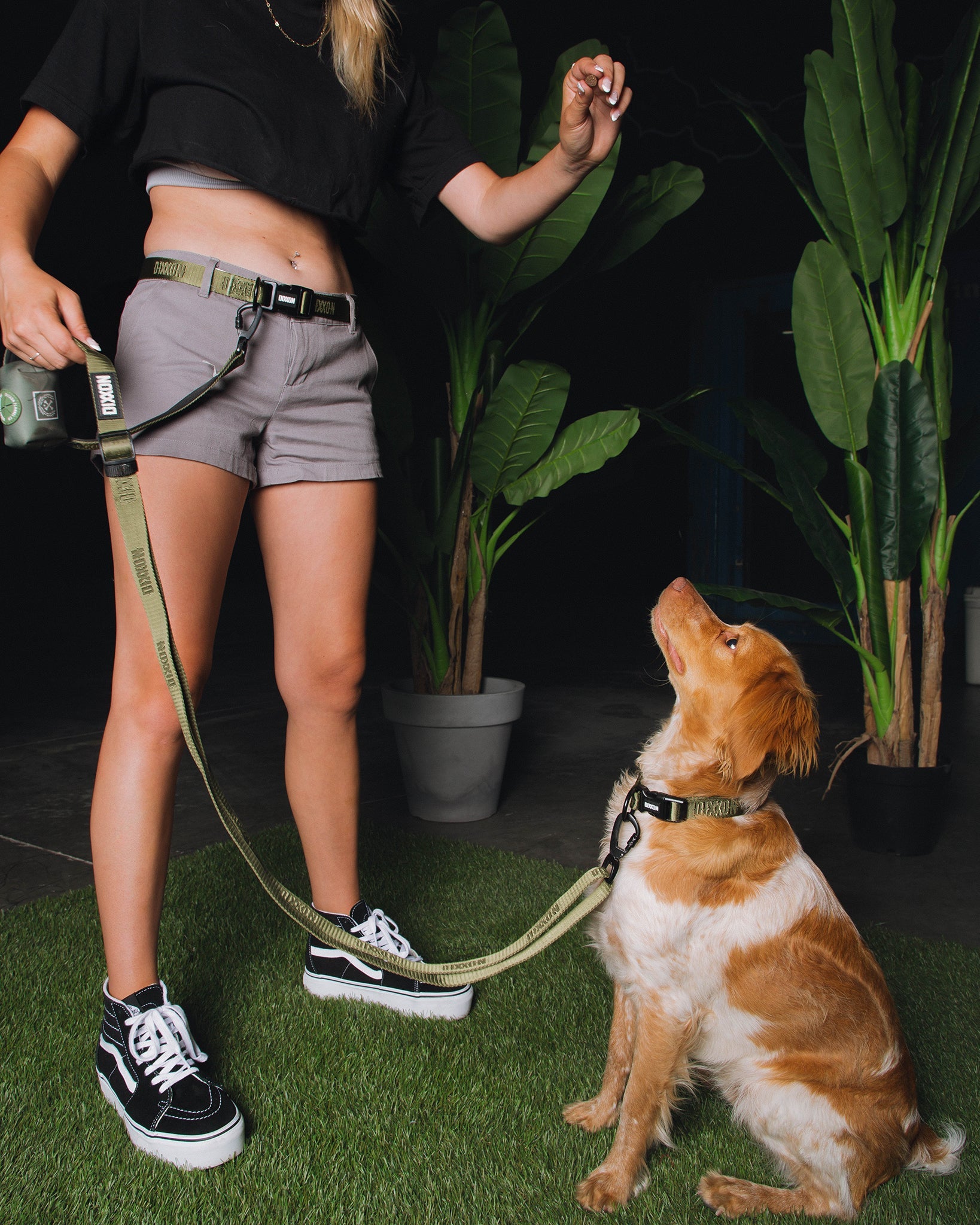 Dixxon Dog Leash - O.D. Green - Dixxon Flannel Co.