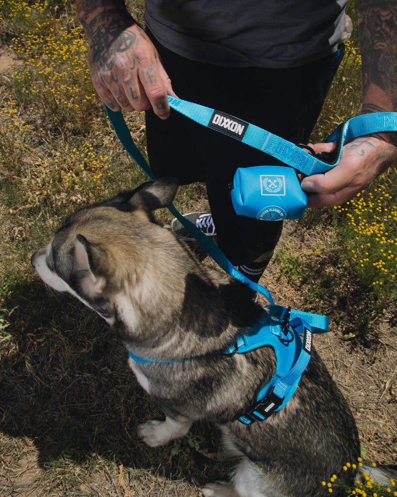 Dixxon Dog Poop Bag Holder - Blue - Dixxon Flannel Co.
