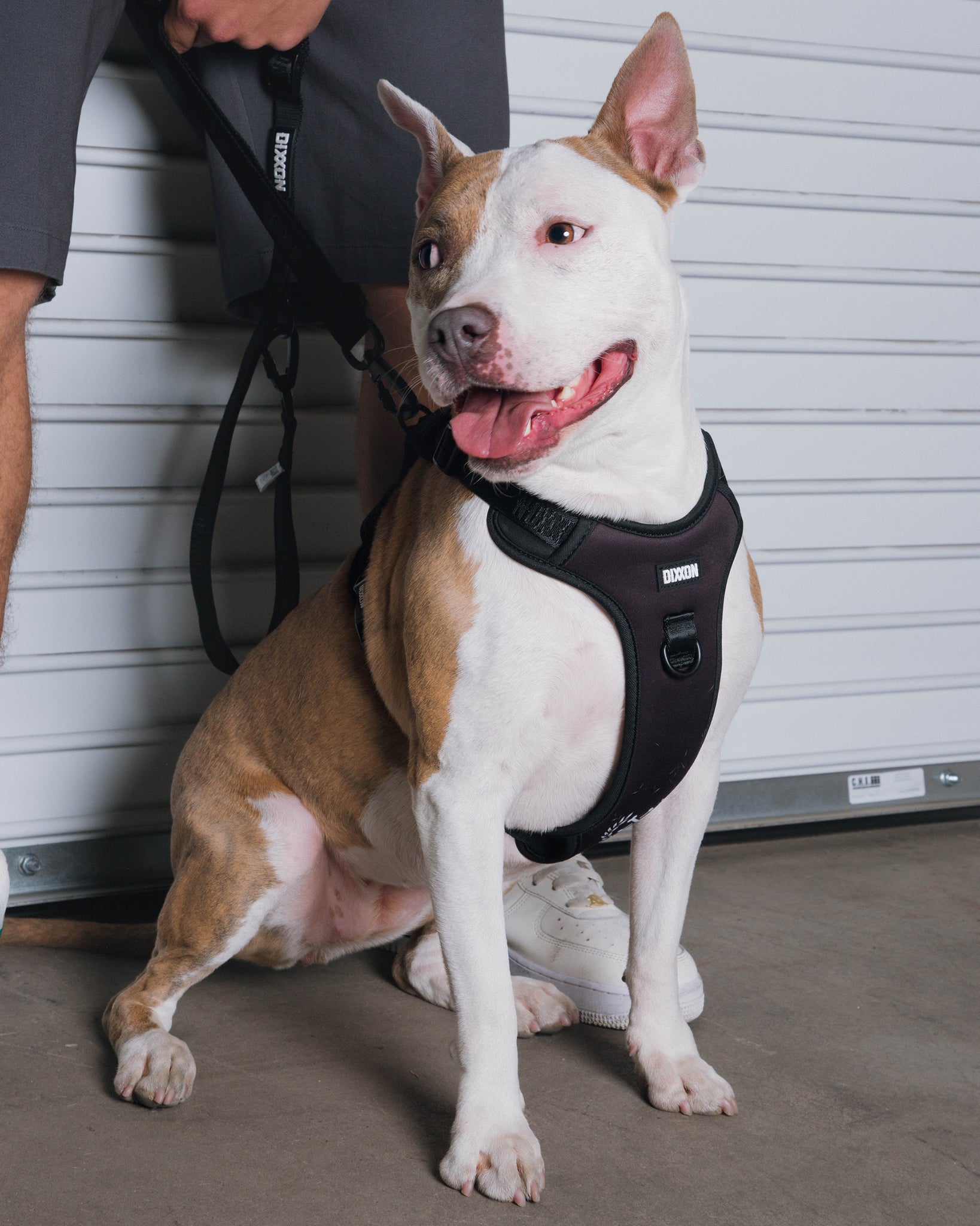 Dixxon Mesh Dog Harness - Black - Dixxon Flannel Co.