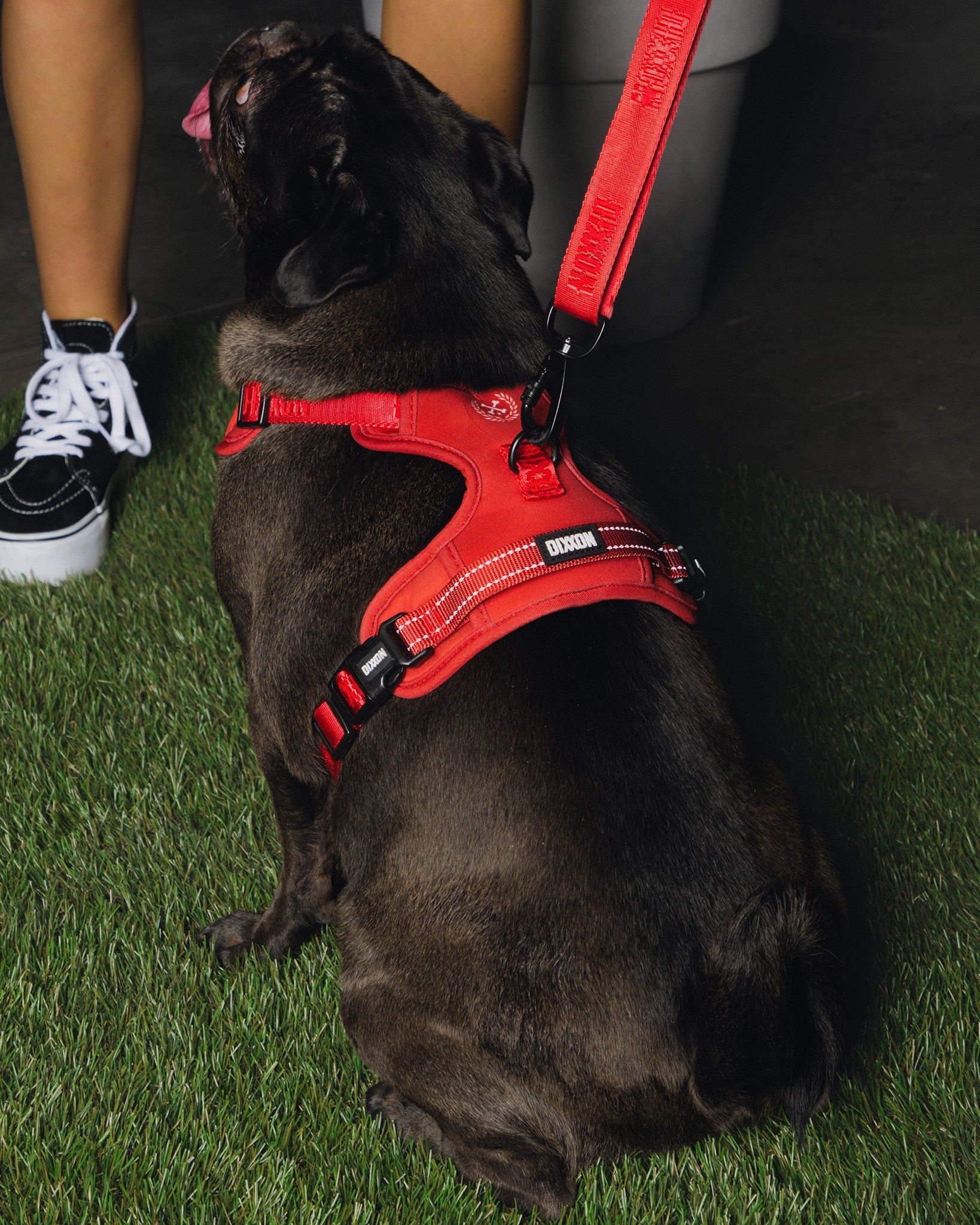 Dixxon Mesh Dog Harness - Red - Dixxon Flannel Co.