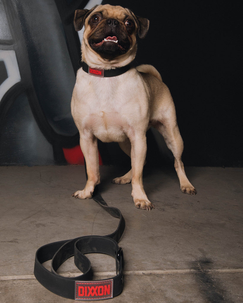 Dixxon Rubber Dog Leash - Black & Red - Dixxon Flannel Co.