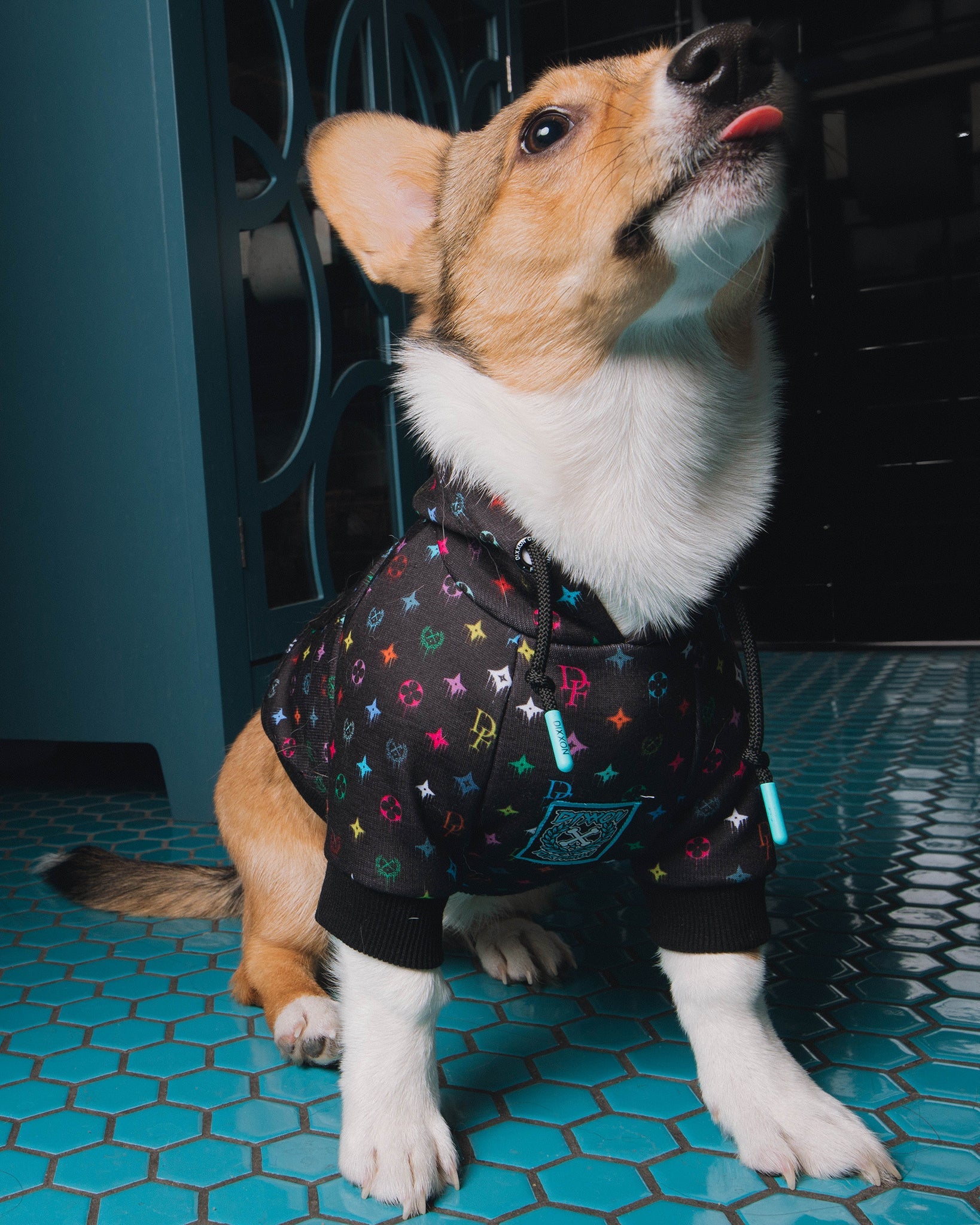 Dog Hoodie - Bougie - Multi Drip - Dixxon Flannel Co.