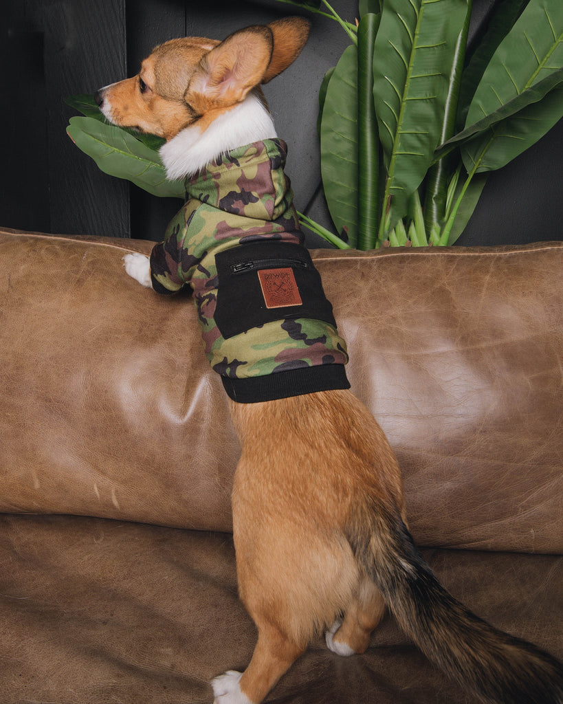 Dog Hoodie - Camo - Dixxon Flannel Co.