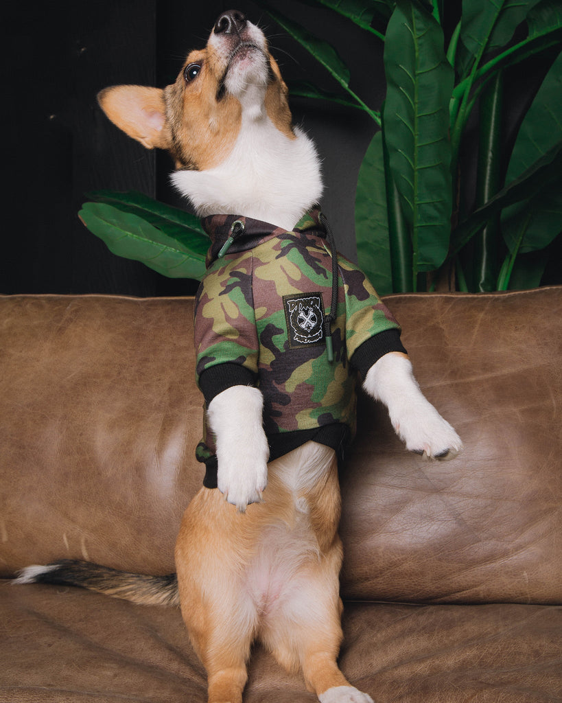 Dog Hoodie - Camo - Dixxon Flannel Co.