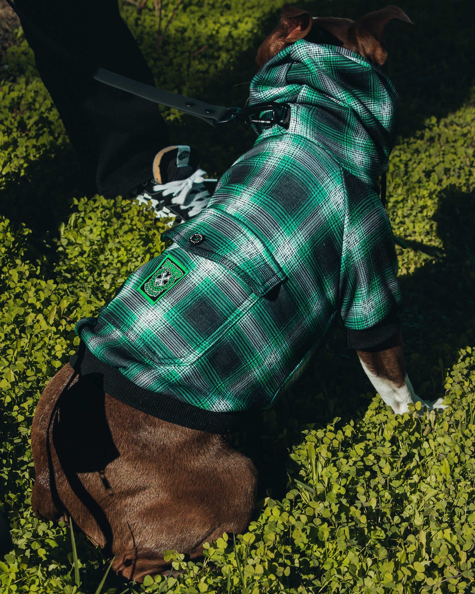 Dixxon Dog Hoodie - Emerald Isle: Stylish Plaid for Your Pup Dixxon Dog Hoodie - Emerald Isle: Stylish Plaid for Your Pup