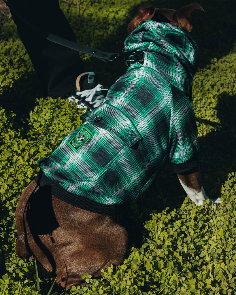 Dog Hoodie - Emerald Isle - Dixxon Flannel Co.