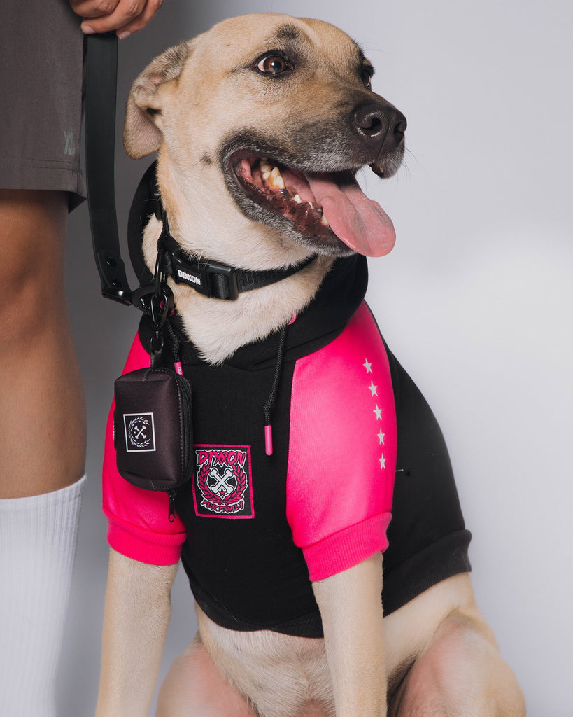 Dog Hoodie - Fur Family - Black & Pink - Dixxon Flannel Co.