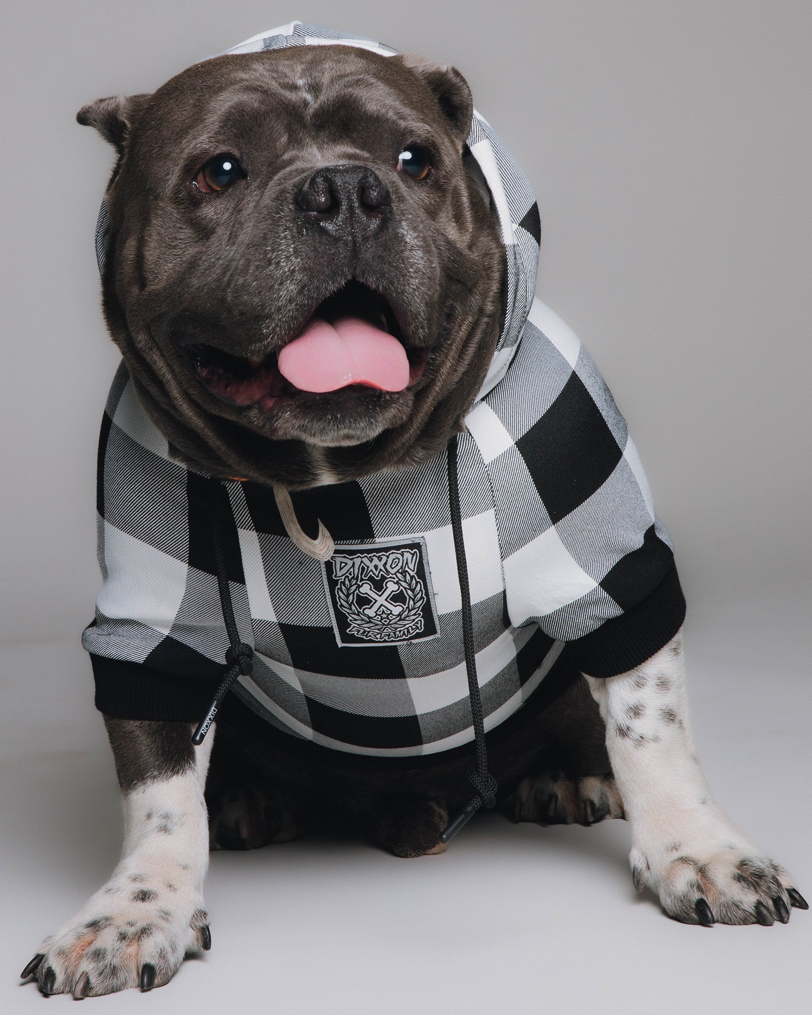 Dog Hoodie - Gringo - Dixxon Flannel Co.