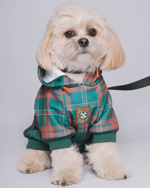 dog-hoodie-mistletoe-