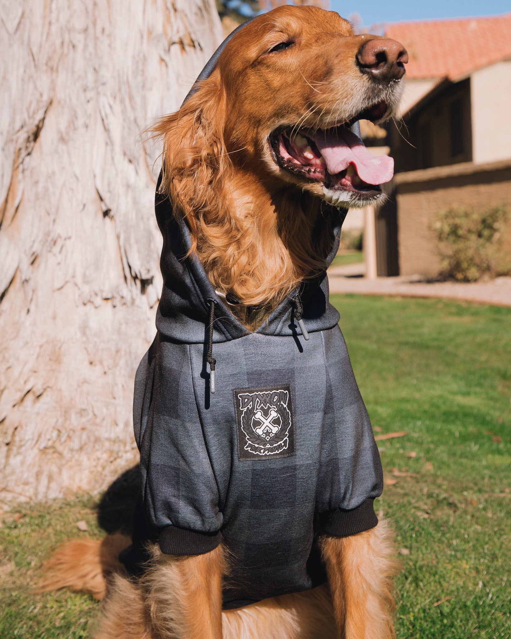 Dog Hoodie - Murked - Dixxon Flannel Co.