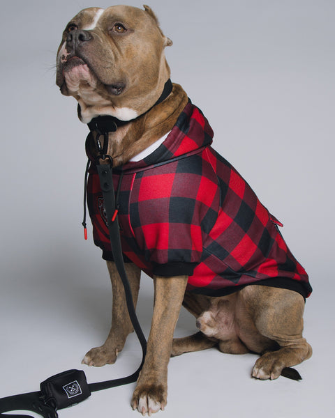 chelmico 犬チーム　フーディ dog-hoodie-redrum-