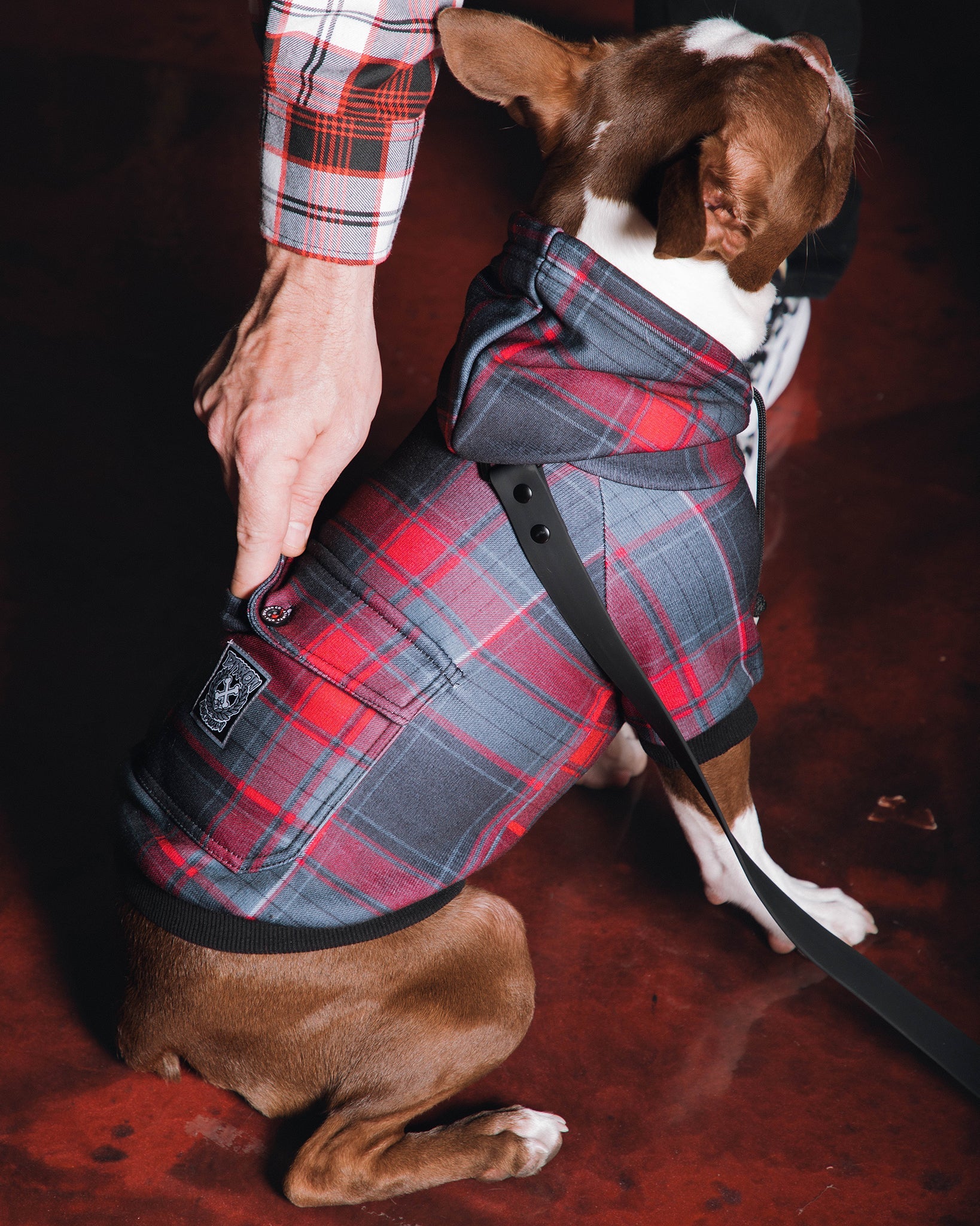Dixxon Dog Hoodie - Royal Flush: Stylish Plaid for Your Pup