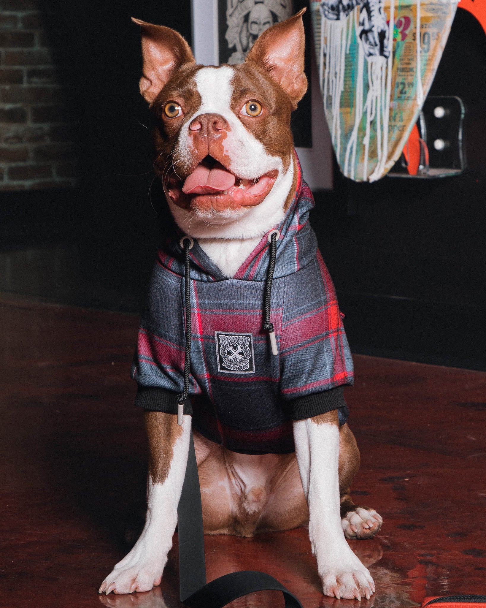 Dog Hoodie - Royal Flush | Dixxon Flannel Co.