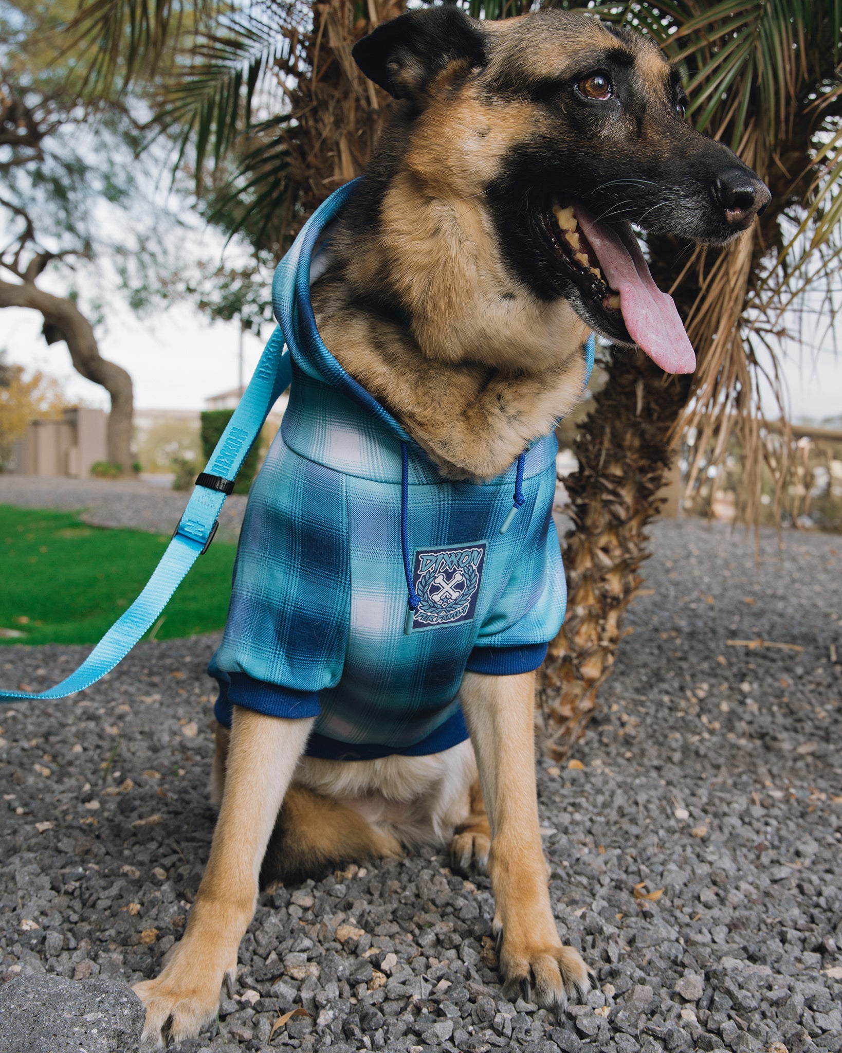 Dog Hoodie The Shelf Dixxon Flannel - Main Image