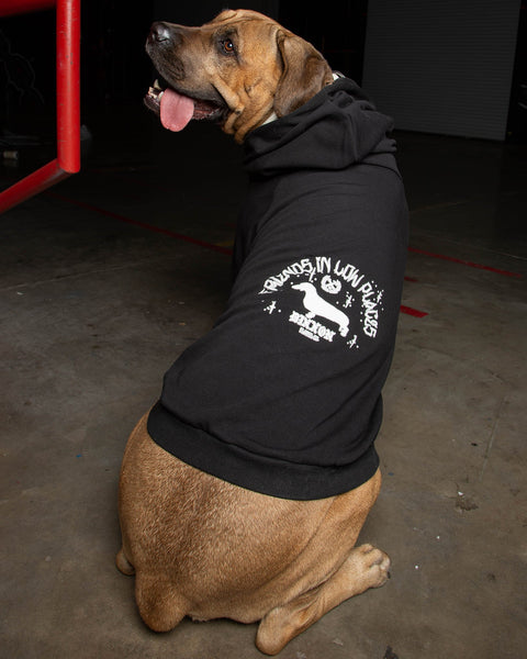 Dog Hoodie - Fur Friends In Low Places | Dixxon Flannel Co.