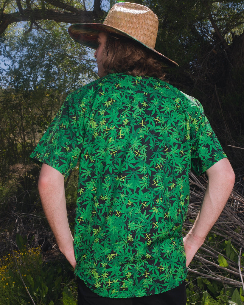 Green Room 10YR Short Sleeve - Dixxon Flannel Co.