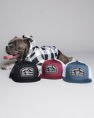 Support Your Local Dog Rescue Flat Bill Trucker Snapback - Dixxon Flannel Co.
