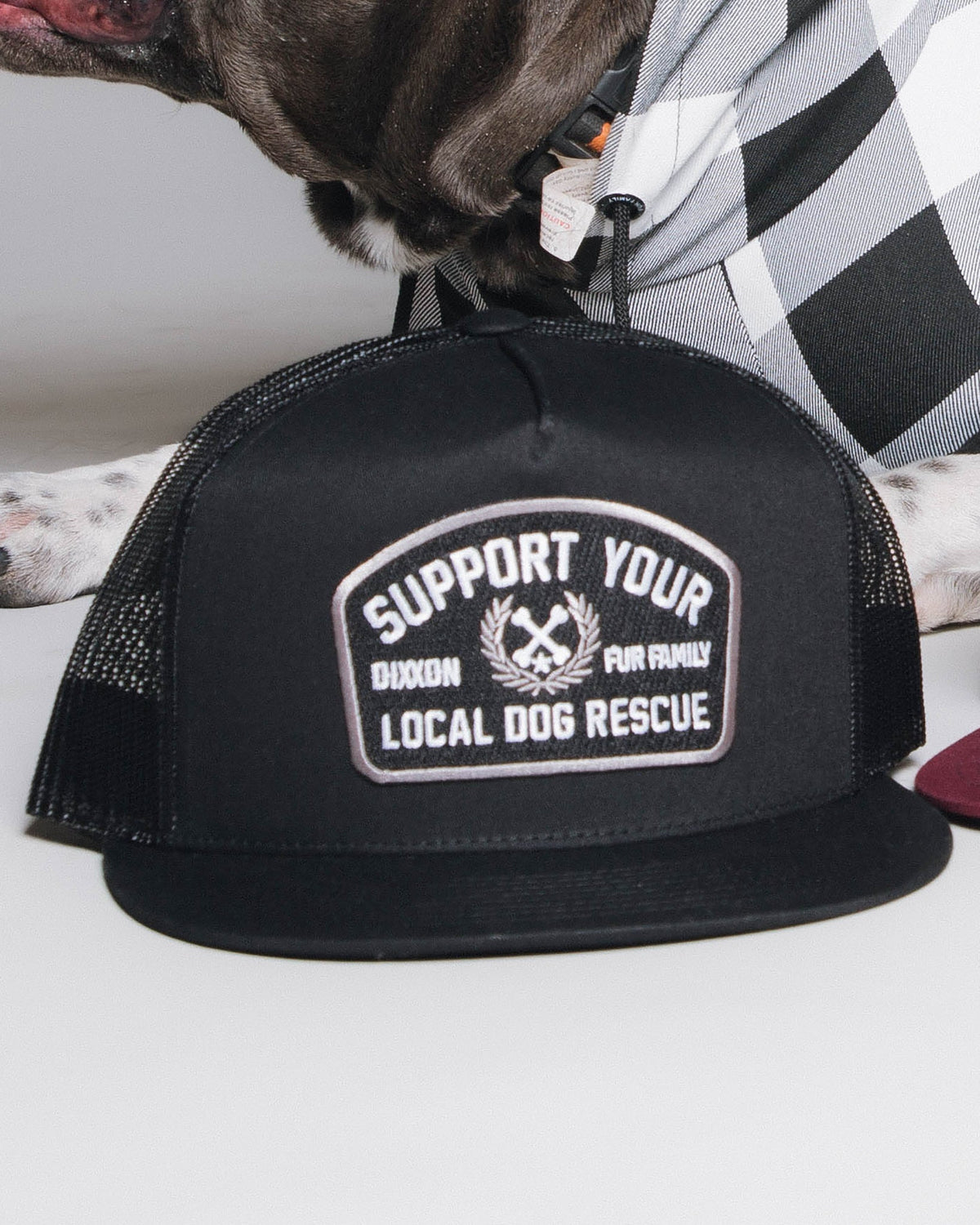 Support Your Local Dog Rescue Flat Bill Trucker Snapback - view 1